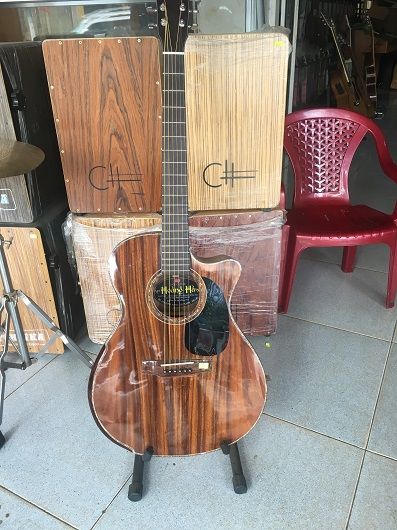 guitar DV280