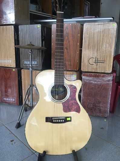 guitar d215