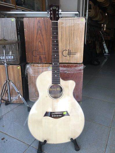 Guitar f120