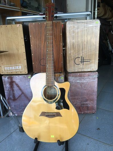 GUITAR D240