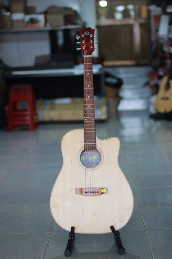 GUITAR F900