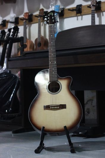 Guitar F75E