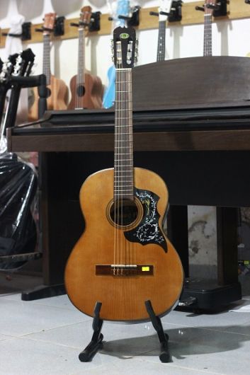 Guitar F850 Classic