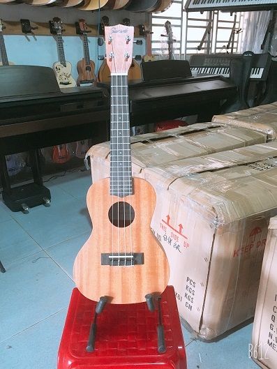 Đàn Ukulele 650