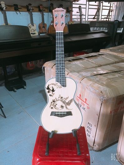 Đàn Ukulele 750