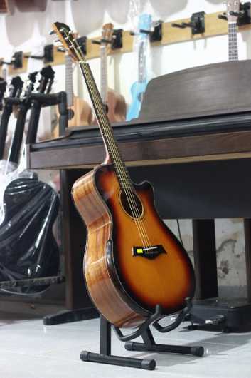 đàn guitar điệp vát