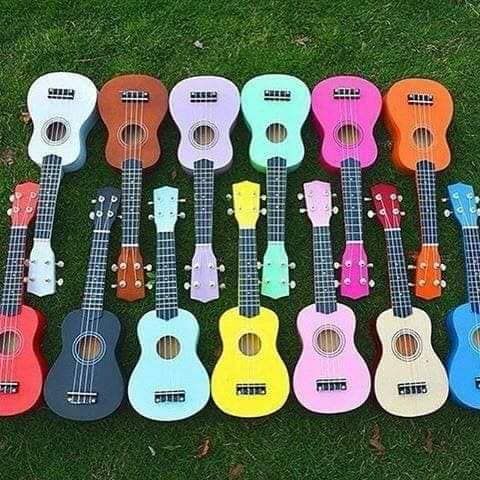 Đàn Ukulele 300