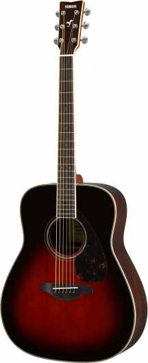 Guitar Yamaha F830