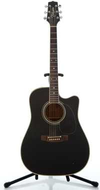 Guitar Takamine D10