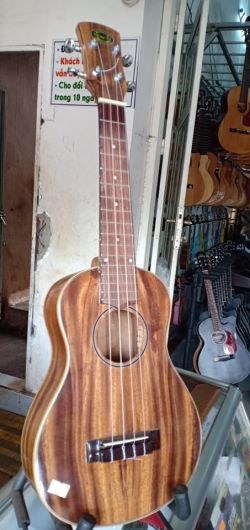 UKULELE GỖ ĐIỆP NGUYÊN TẤM