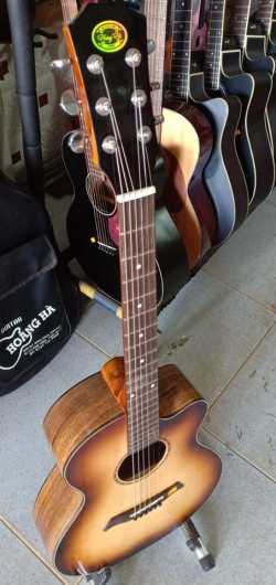 guitar điệp D180