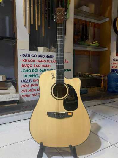 guitar Deviser L-810A-N